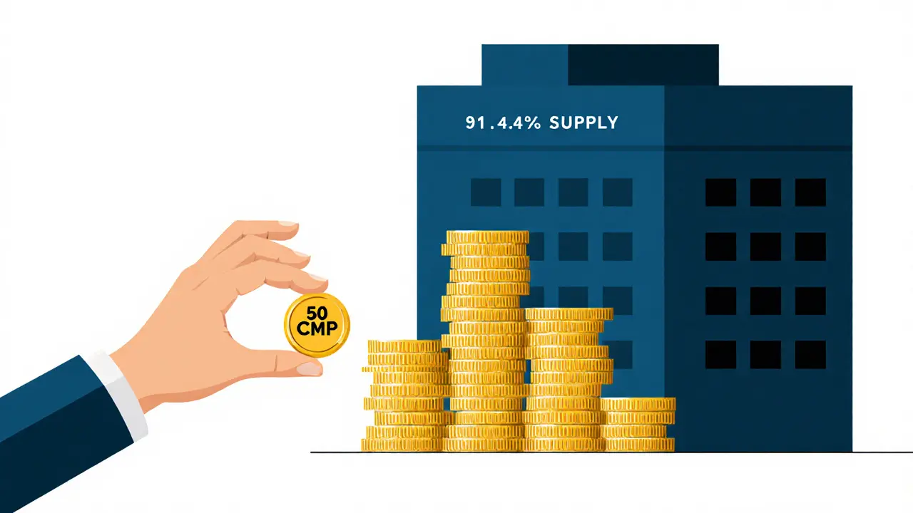 Small user token held next to giant stack of investor tokens, symbolizing unequal distribution.